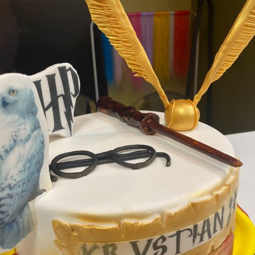 ninjaparkatrakcji-u-24